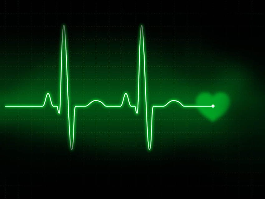 Best 6 EKG on Hip, electrocardiogram HD wallpaper | Pxfuel