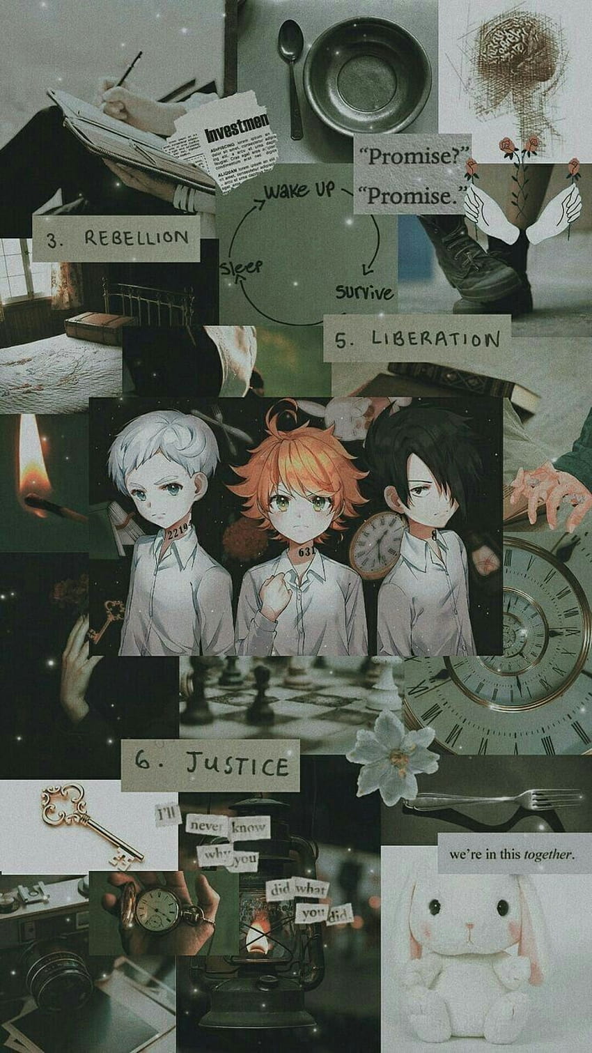 Daiquiri on anime aesthetic in 2020, promised neverland iphone HD phone wallpaper