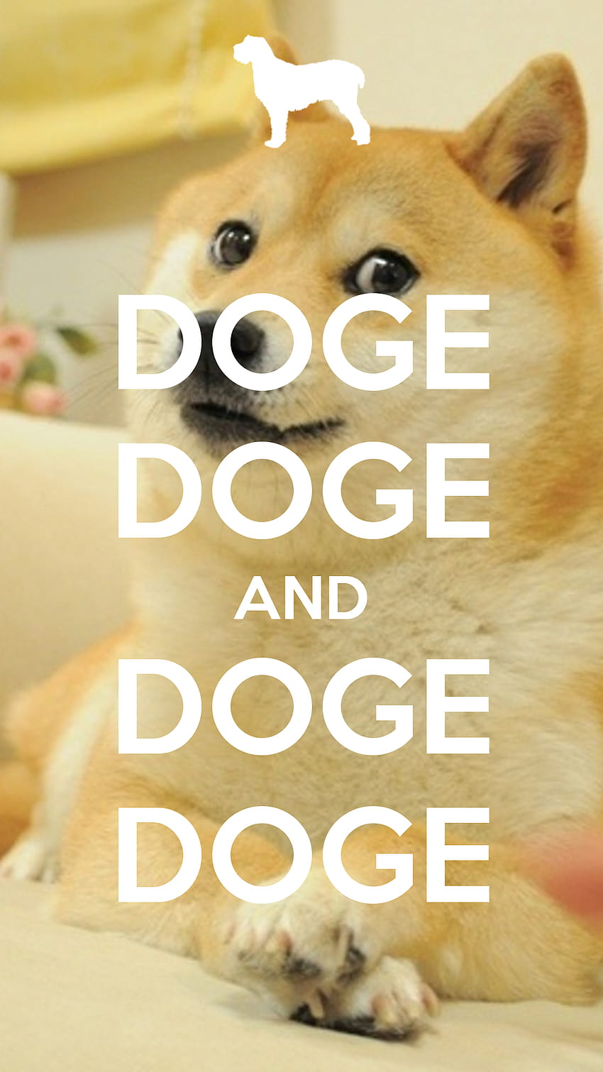 Doge Iphone, animal memes HD phone wallpaper
