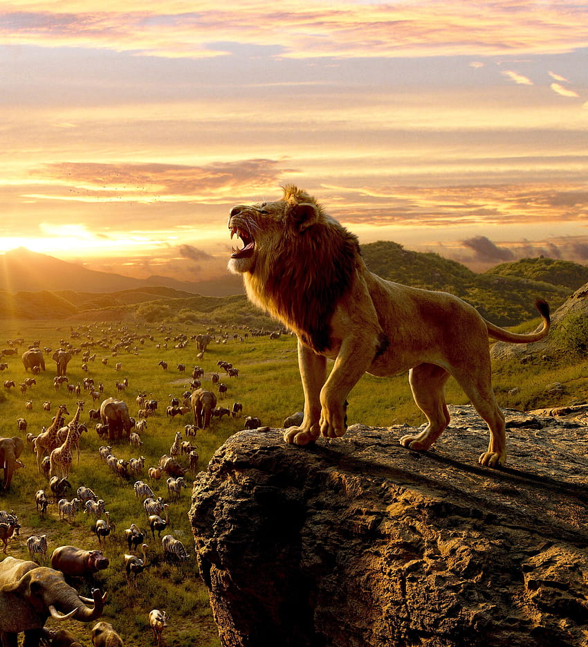 3375x3712 Simba, The Lion King, Roar, Cliff, lion king roar HD phone wallpaper