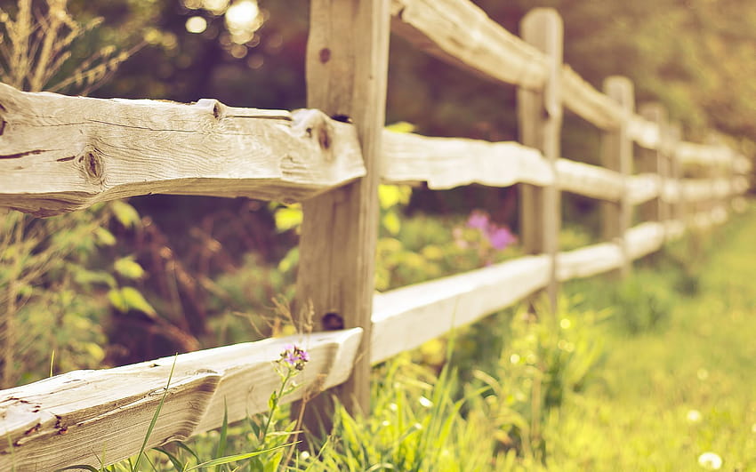 Wood Fence HD wallpaper | Pxfuel