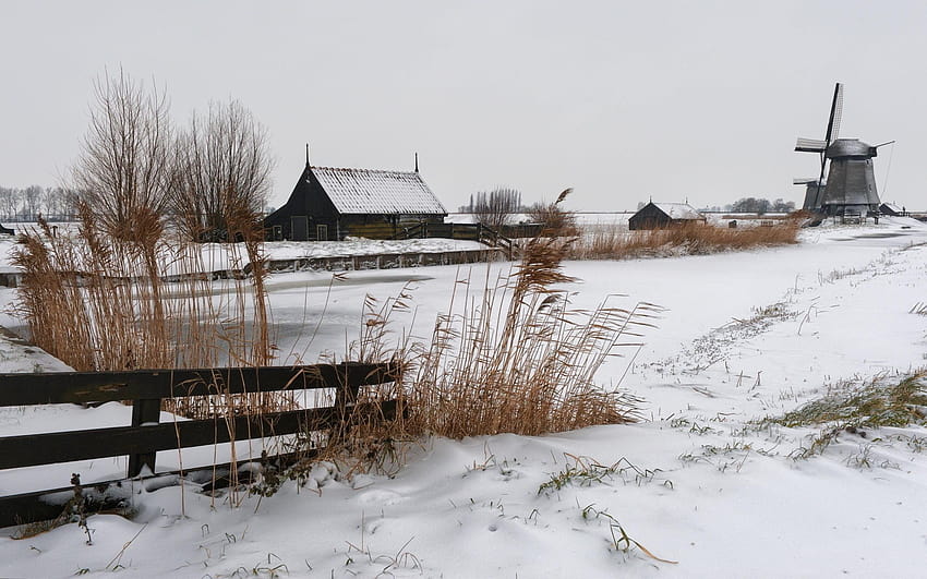 Brown leafed plant, winter, Russia, village, landscape, winter rural landscape HD wallpaper