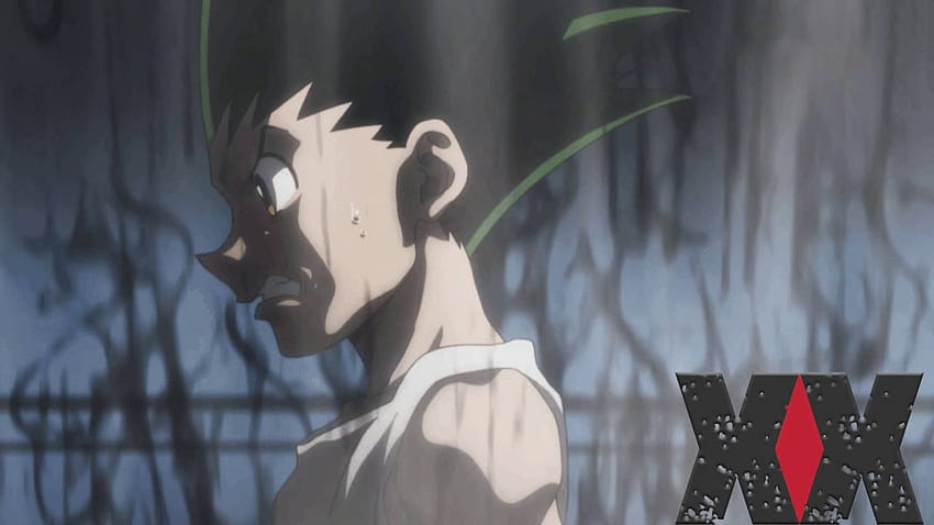 Hunter X Hunter Gon, gon sad HD wallpaper