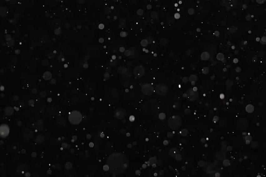 Dust Particles Are Shimmering on Black Background. Slow Motion by KinoMaster on Envato Elements HD wallpaper