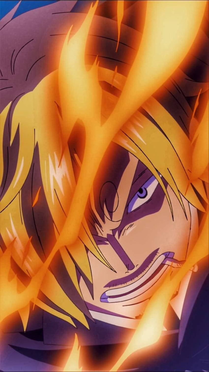 Flat art of Sanji from One Piece by GmDesignartsGR on Dribbble