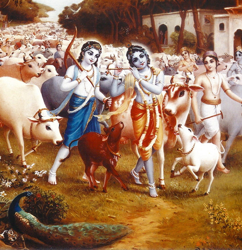 Krishna mit Kühen, mobile Krishna-Kuh HD-Handy-Hintergrundbild