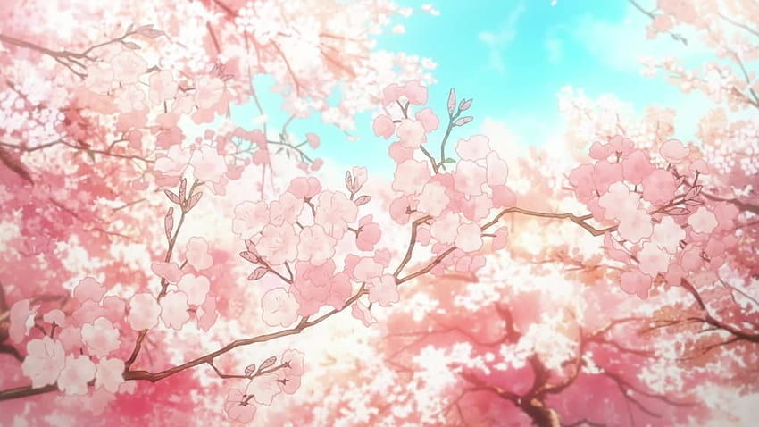 Aesthetic Anime Aesthetic Cherry Blossom Iphone, anime aesthetic trees HD  wallpaper | Pxfuel