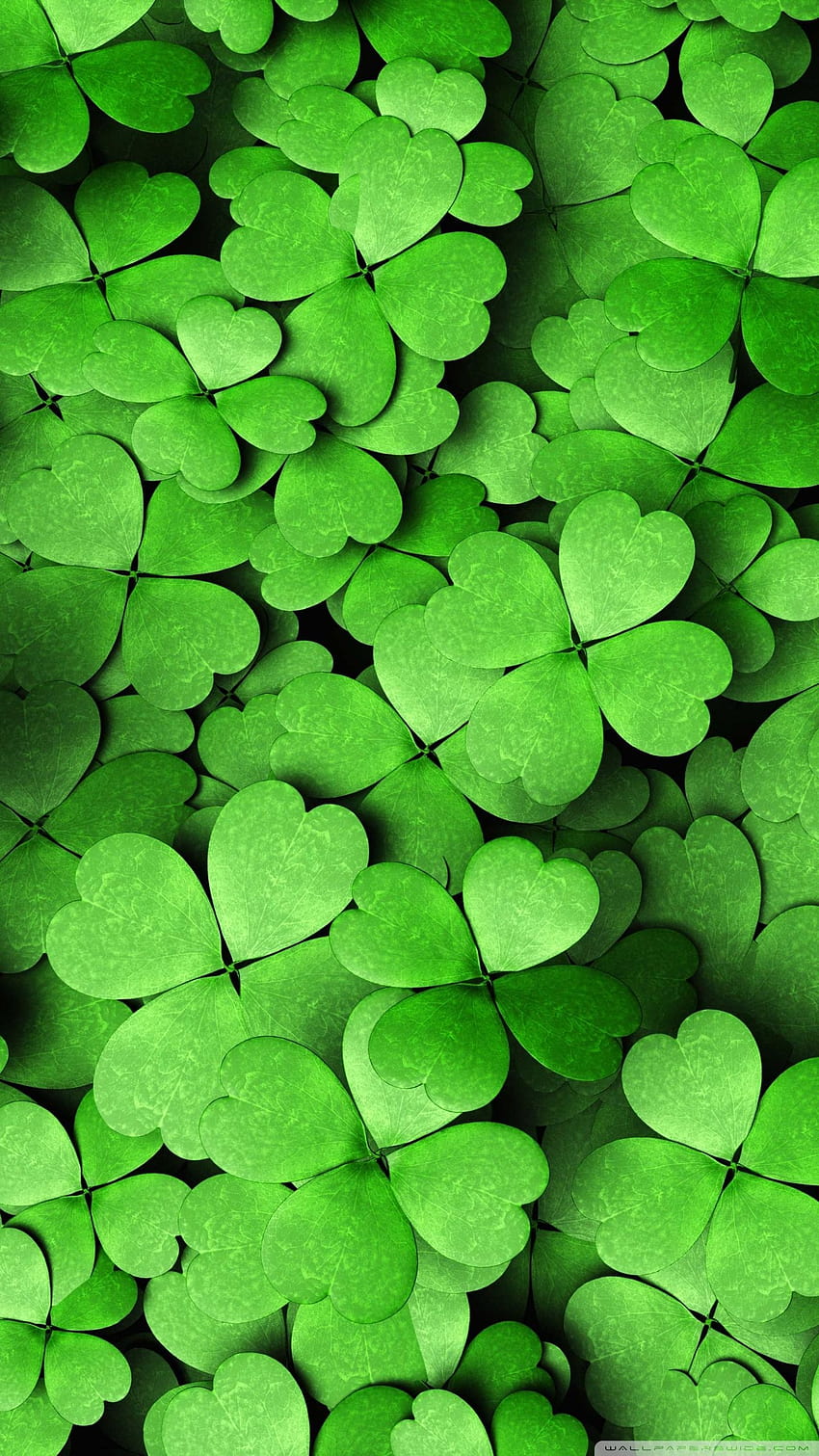 Four Leaf Clover, android 4 leaves clover HD phone wallpaper