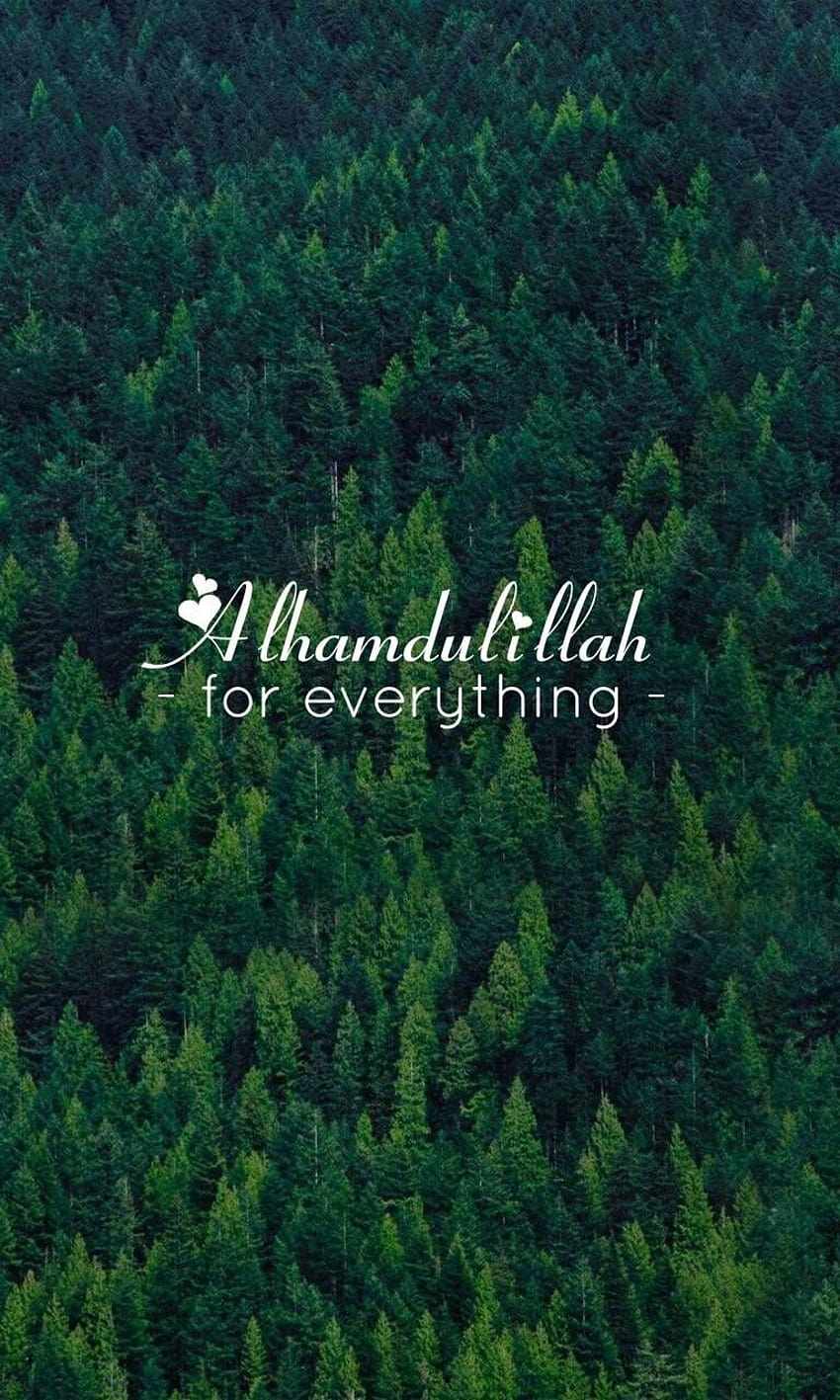 230 Best Alhamdulillah for every Blessing in 2020 HD phone wallpaper |  Pxfuel