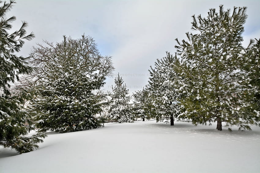 зимни пейзажи гора гора дървета природа HD тапет
