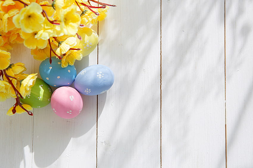 Uova di Pasqua Rami Modello biglietto d'auguri Vacanze [1280x853] per il tuo, Mobile & Tablet Sfondo HD