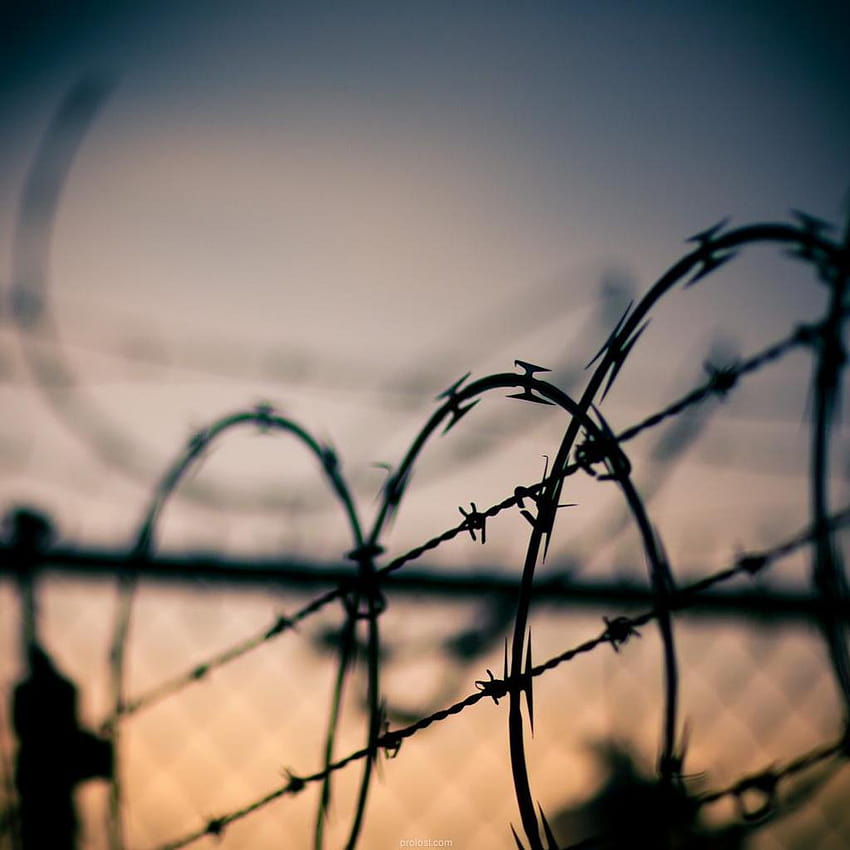 Barbed Wire Fences, barbwire HD phone wallpaper