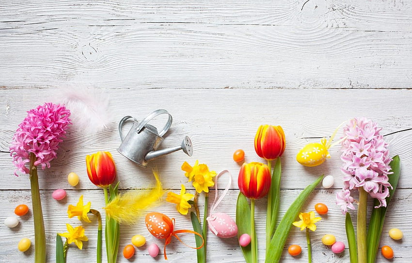 flowers, spring, colorful, Easter, crocuses, tulips, colorful crocuses HD wallpaper