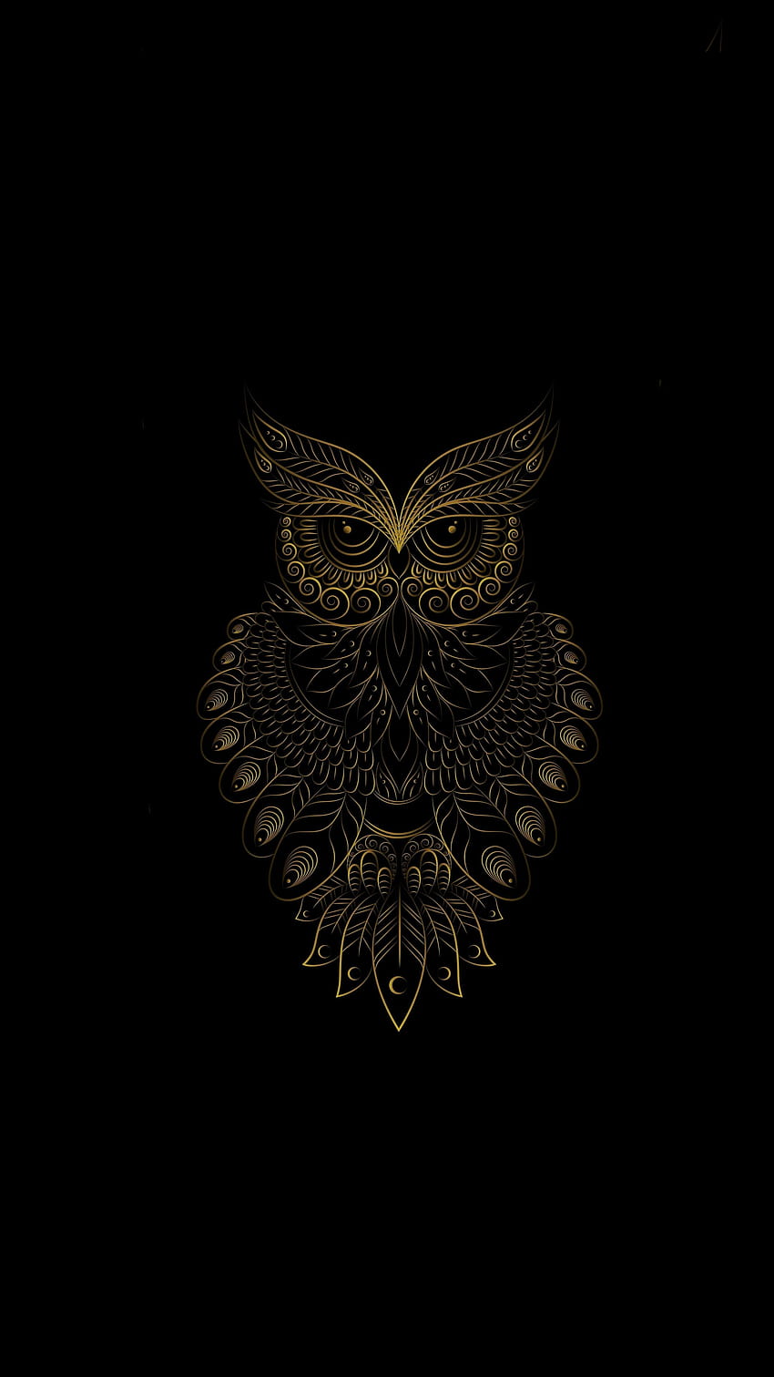 2160x3840 Golden Owl oiseau, modèle, art, hibou noir Fond d'écran de téléphone HD