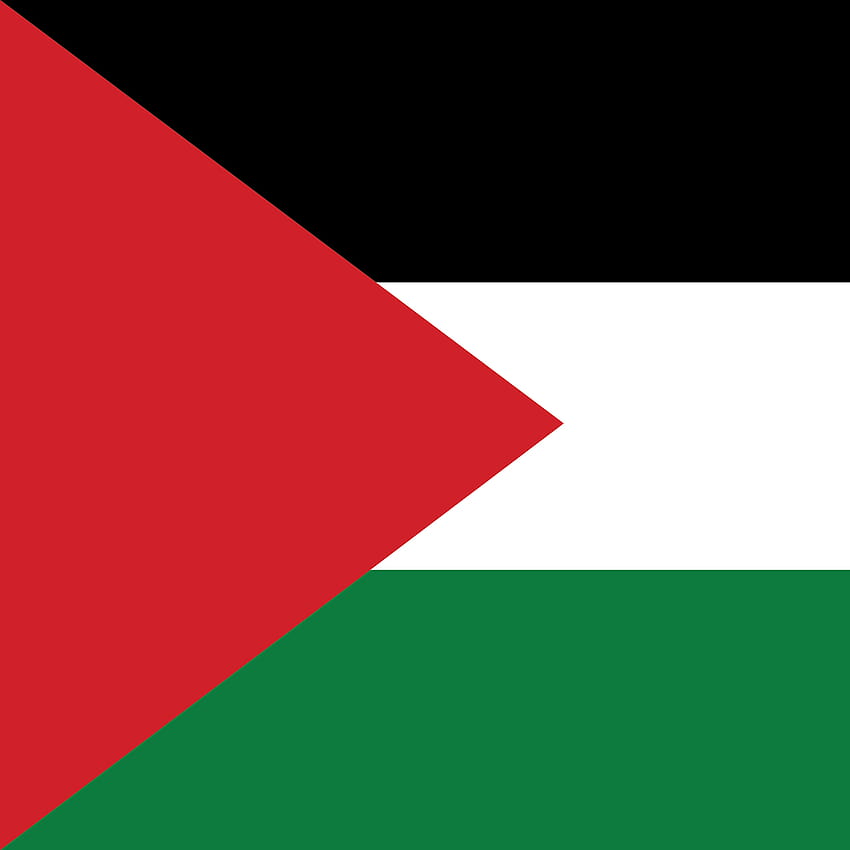 Filtro Palestina, bendera palestina fondo de pantalla del teléfono