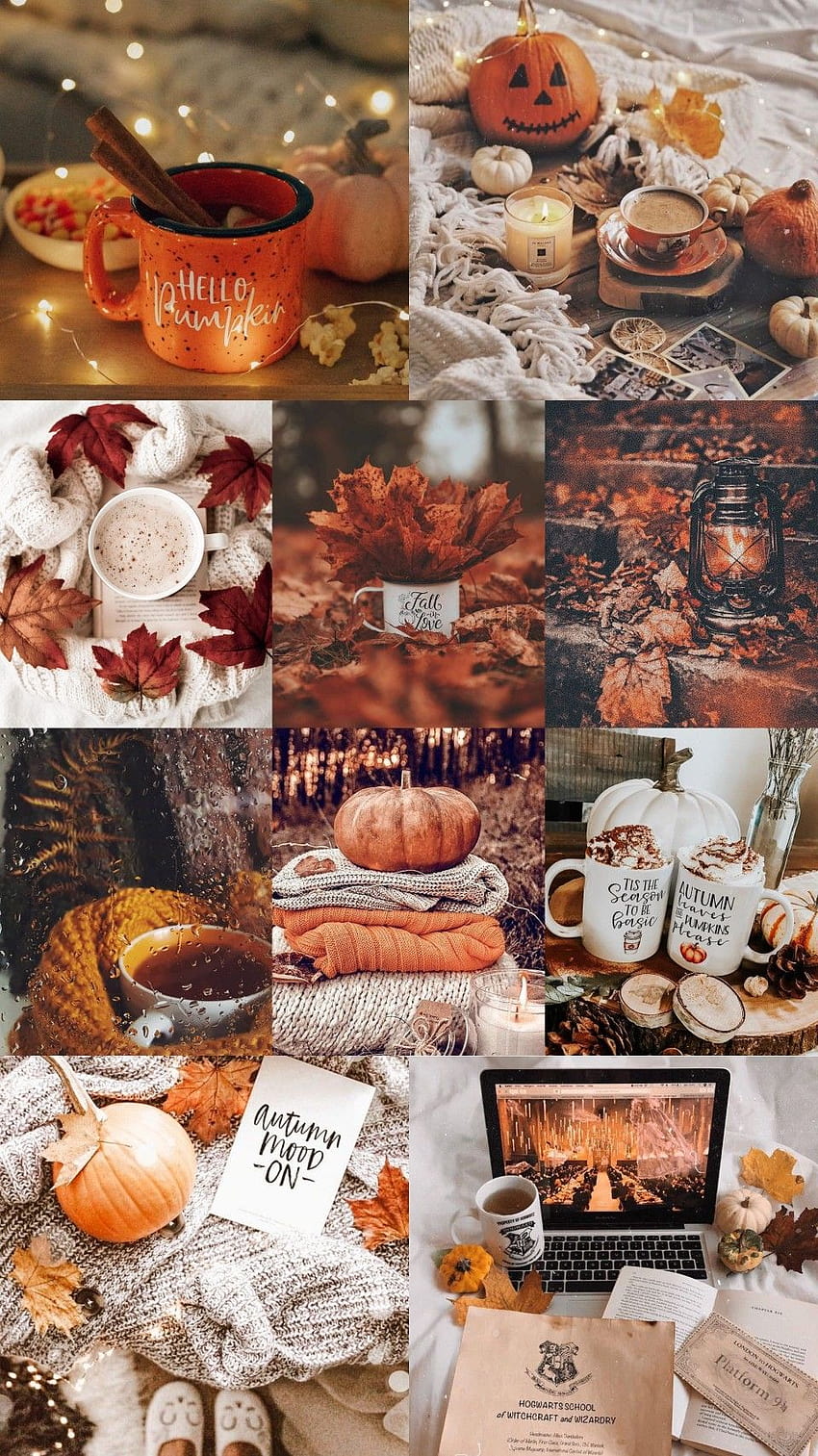 Autumn, thanksgiving collage HD phone wallpaper | Pxfuel