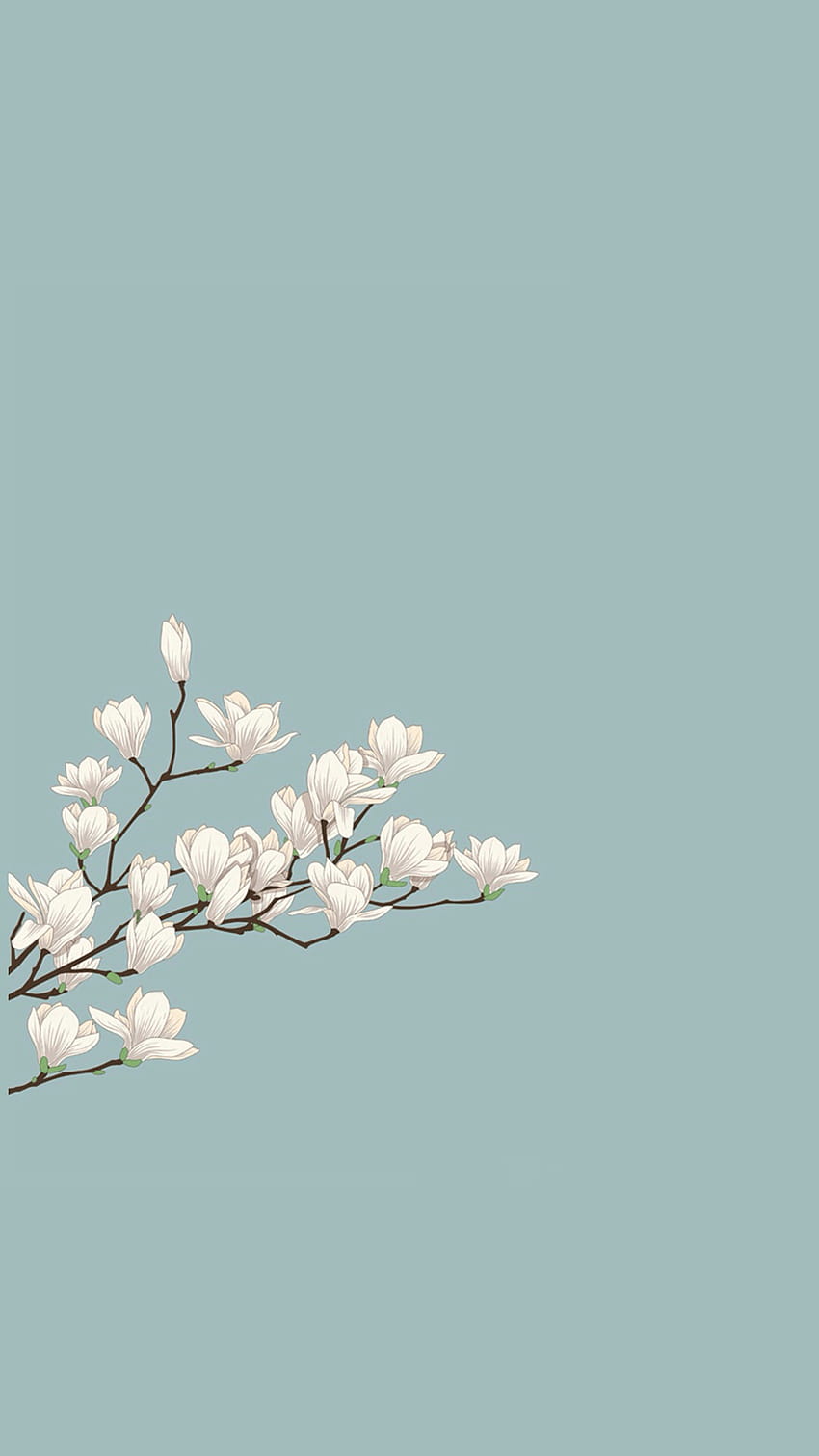 çiçek estetiği, minimalist bahar iphone HD telefon duvar kağıdı