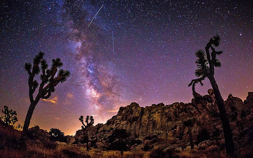 Gwiezdne niebo latem obszar pustynny Drogi Mlecznej z kaktusem skalnym, park narodowy joshua tree Tapeta HD