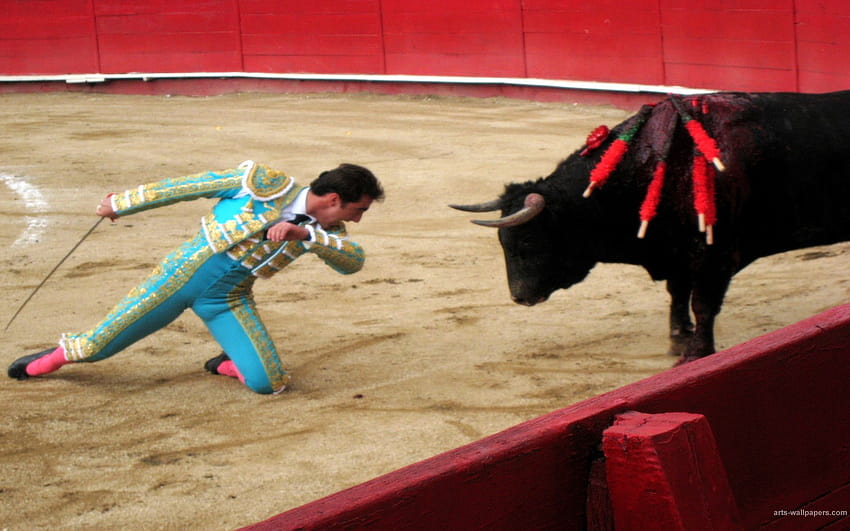 Bullfighting , Spain Art Prints, spanish style bullfighting HD wallpaper