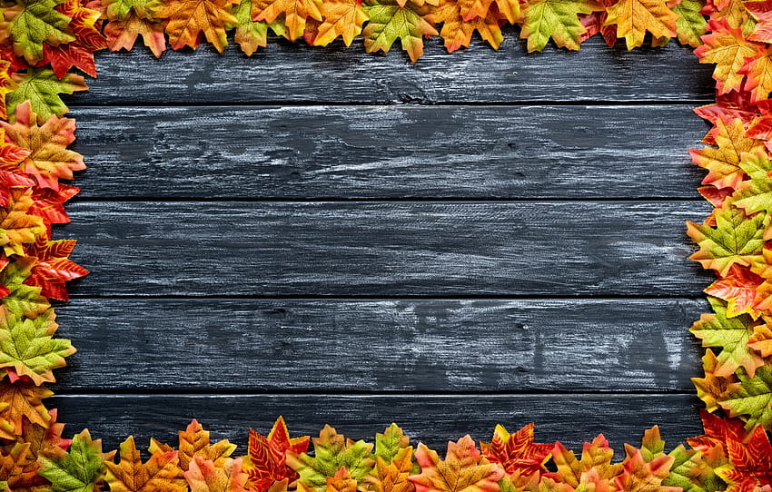 autumn, leaves, background, Board, colorful, maple, wood, background, autumn, leaves, autumn, maple , section текстуры, autumn banner HD wallpaper