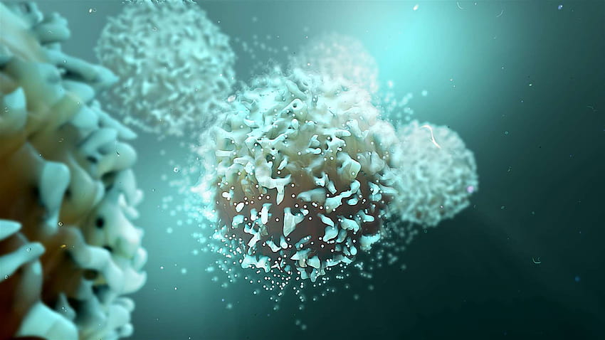 Studiare il nostro sistema immunitario che invecchia con l'aiuto di Cambridge BioResource Sfondo HD