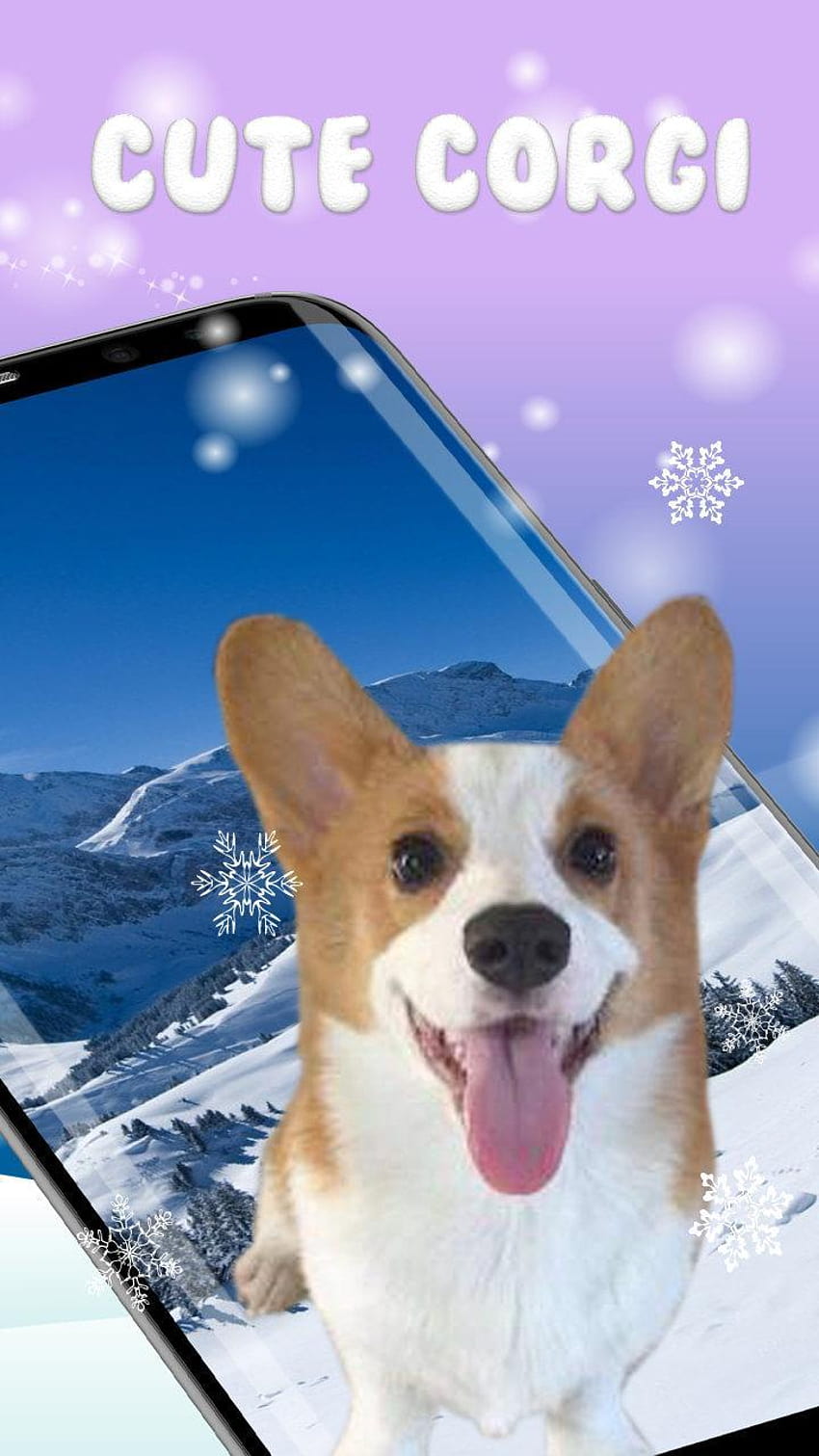 3D Rump Shaking Corgi Dog ThemeLive for Android APK [720x1280] for your , Mobile & Tablet HD phone wallpaper