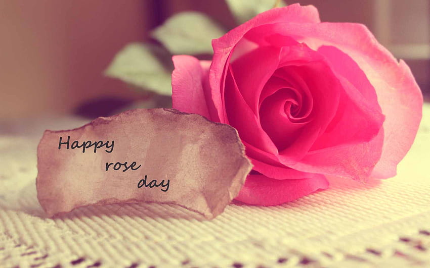 Page 8 | happy rose HD wallpapers | Pxfuel