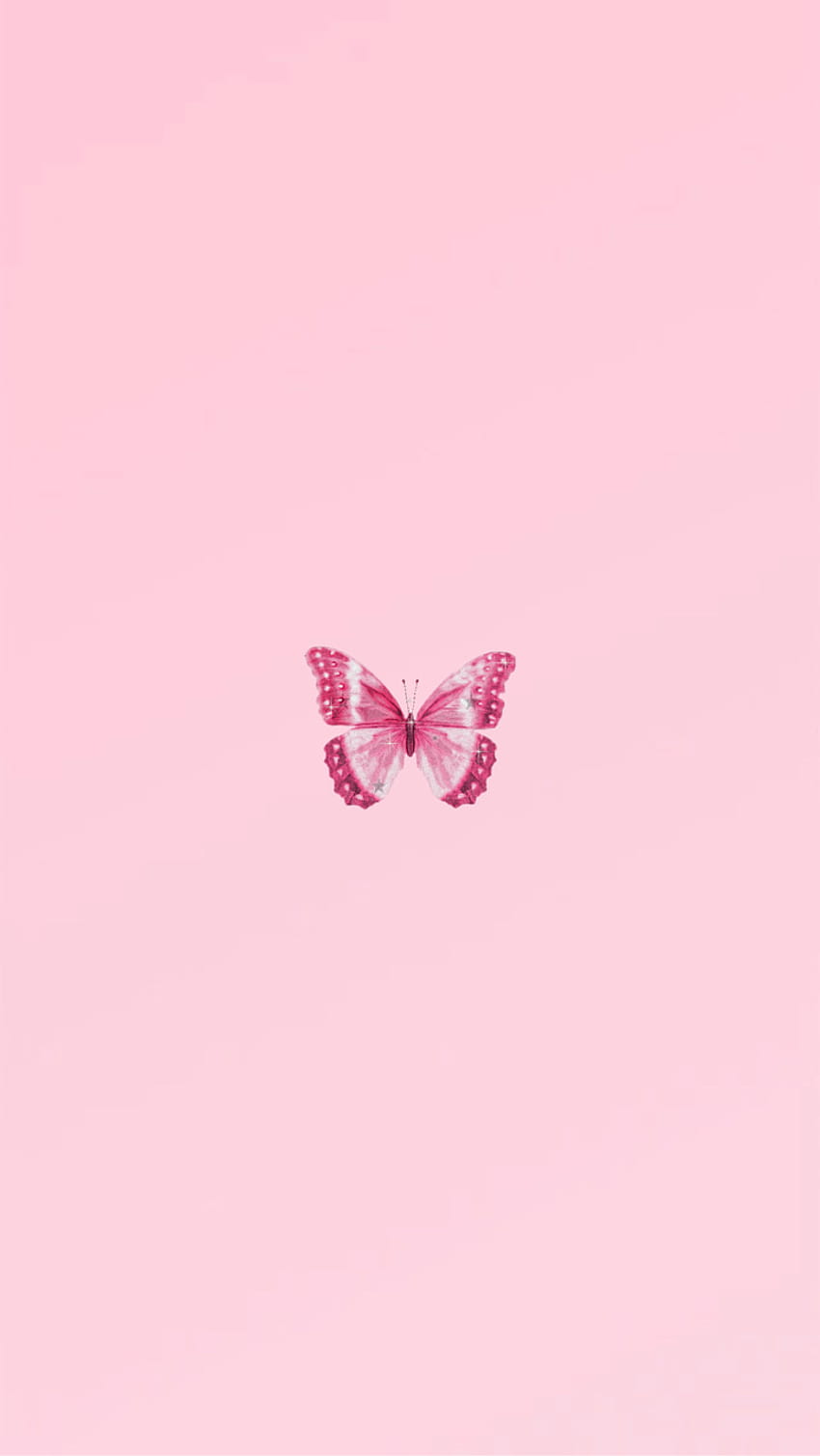 2020 yılında kelebek, sevimli kelebek bebek pembesi HD telefon duvar kağıdı
