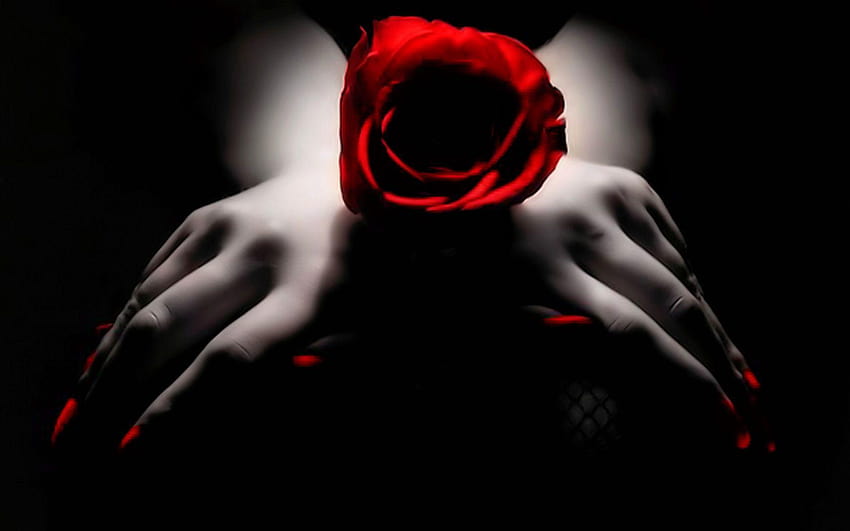 Mawar hitam putih dan merah berbunga kuku merah penuh abstrak tinggi, mawar hitam dan merah Wallpaper HD