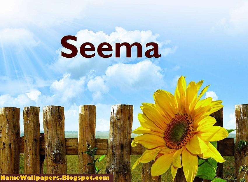 Seema Logo, ashok name HD wallpaper | Pxfuel