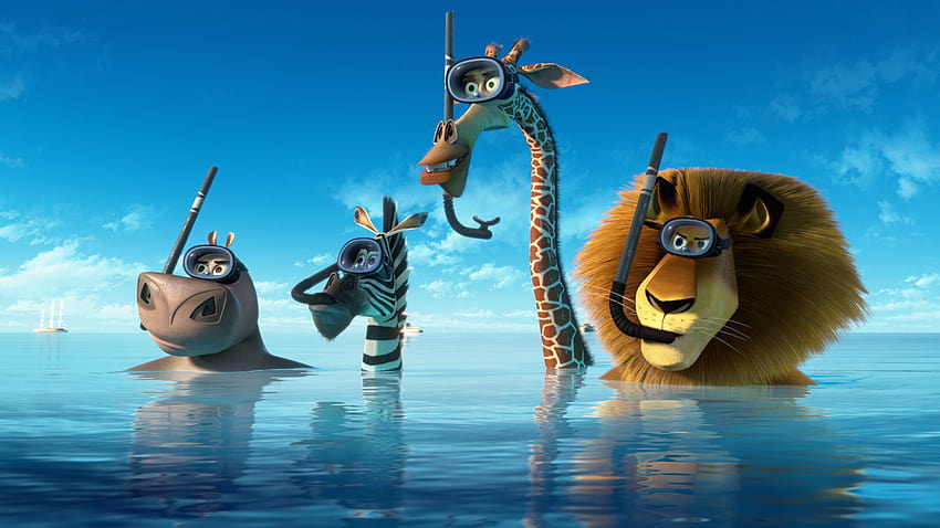 Madagascar 3 HD wallpapers | Pxfuel