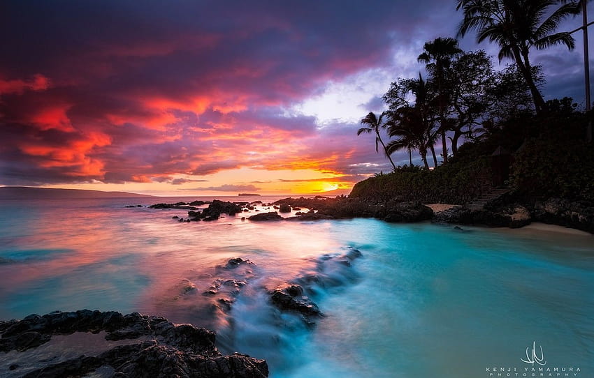 Sonnenuntergang, Palmen, Hawaii, Grafiker, Kenji Yamamura, geheimer Strand HD-Hintergrundbild