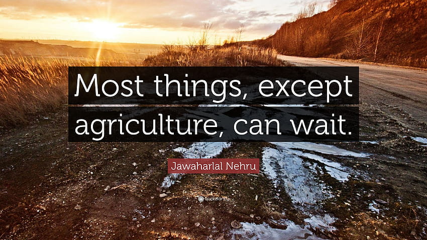Jawaharlal Nehru Quote: “Most things, except agriculture, can wait.” HD wallpaper