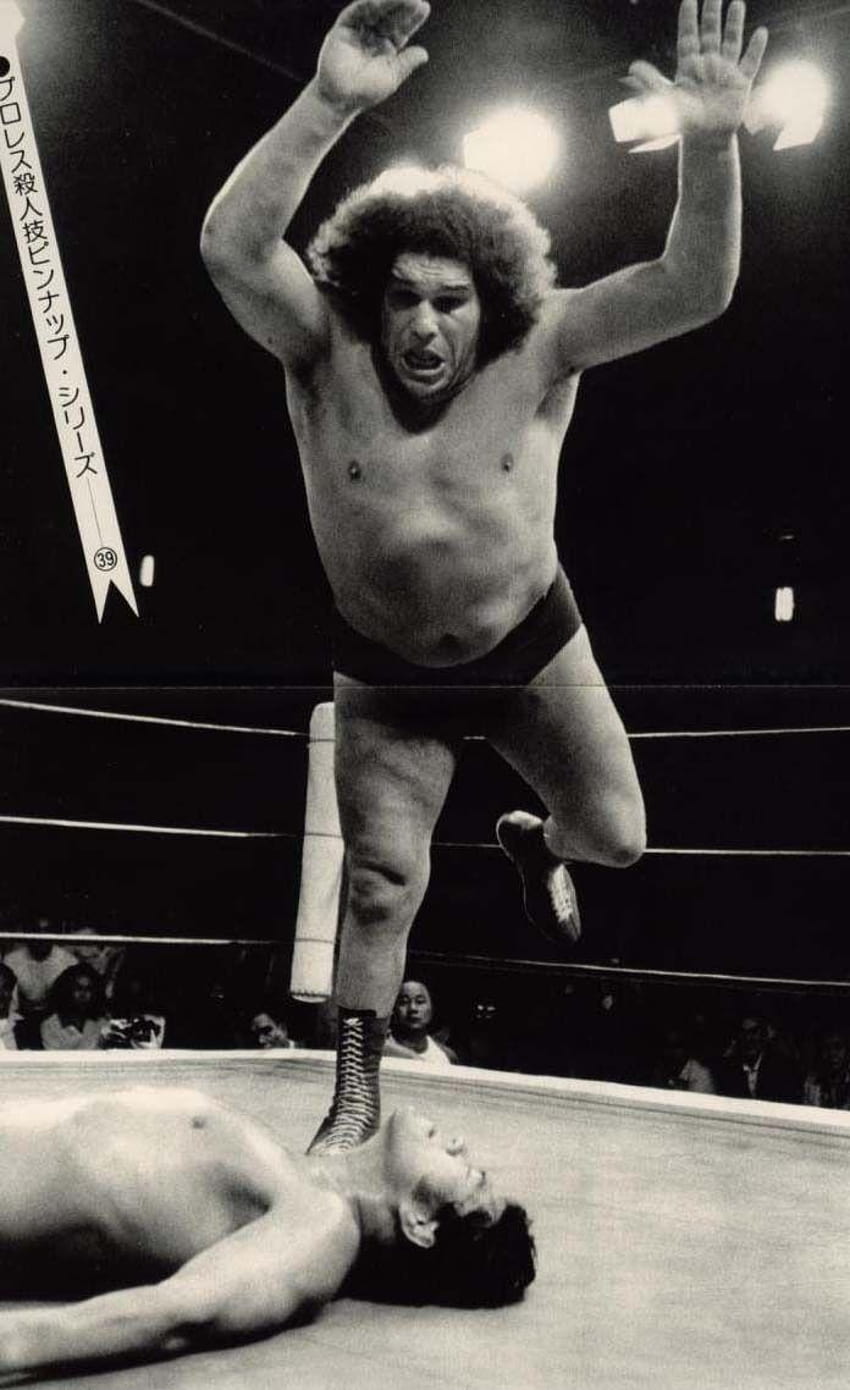 88 best Acromegaly & Gigantism, andre the giant HD phone wallpaper