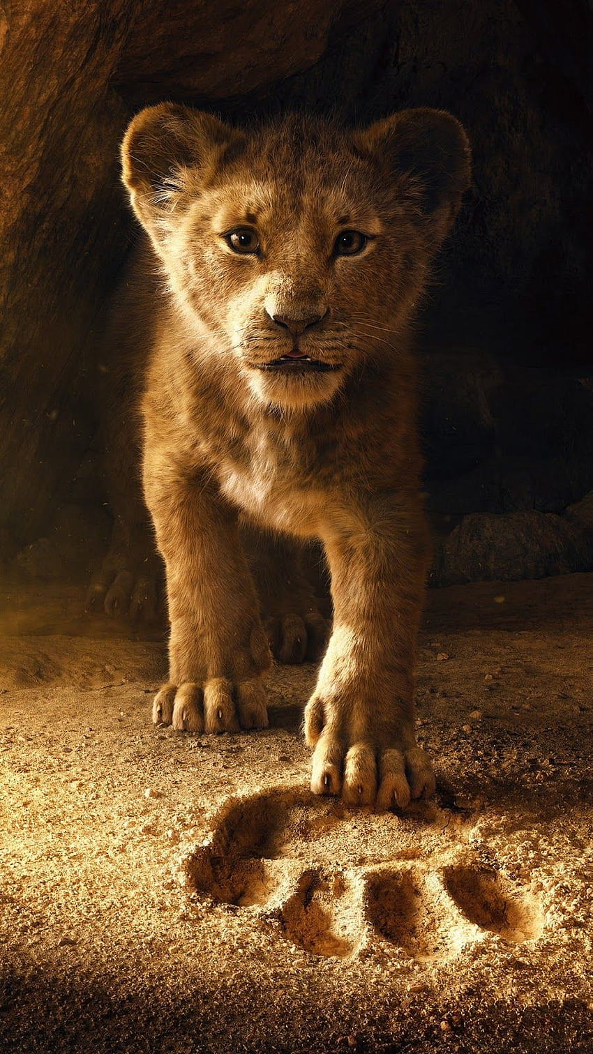 The Lion King 2019 за мобилни устройства, лъв amoled HD тапет за телефон