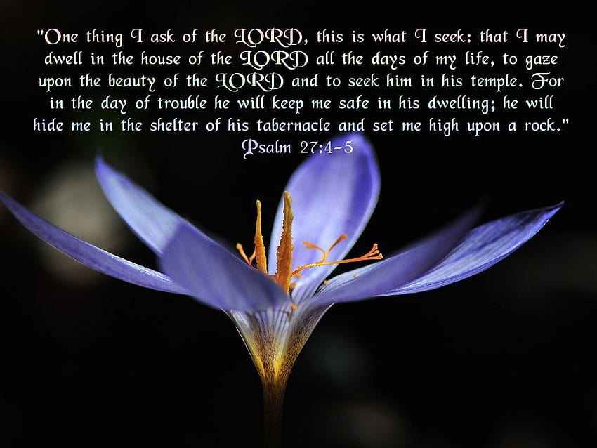 Salmo 27:4, inizio primavera con versetti biblici Sfondo HD