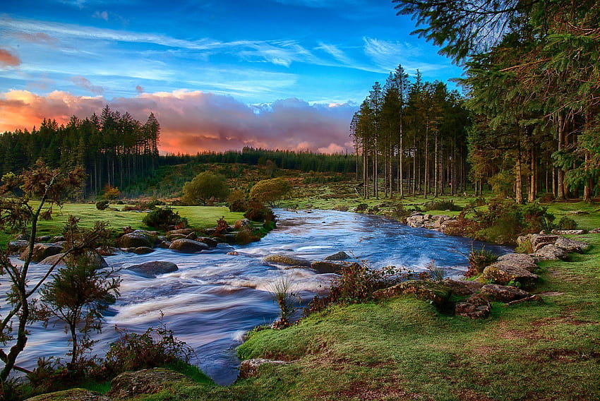 południowo-zachodnia anglia park narodowy devon dartmoor leśna rzeka, dartmoor leśne drzewa Tapeta HD