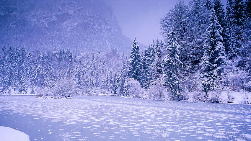 Winter Anime Wallpaper (80+ pictures)