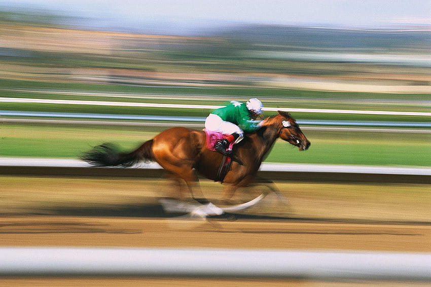 Race Horse, jockey HD wallpaper