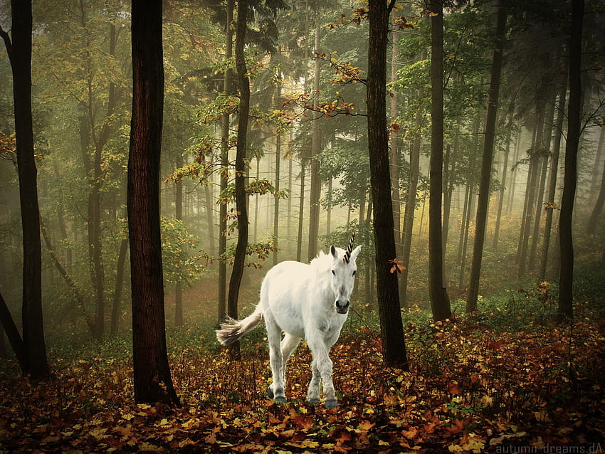 Еднорог кон магическо животно есенна гора t, магическа есен HD тапет