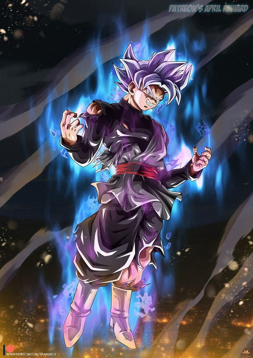 Ultra Instinct Goku Black on Dog, mui goku android HD phone wallpaper |  Pxfuel