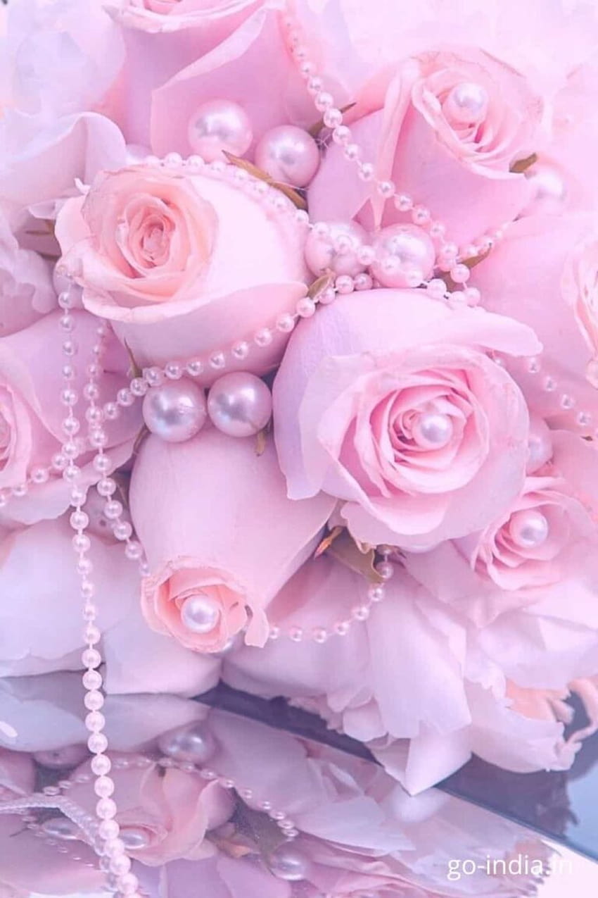 10 romantiche rose rosa e , bellissime rose rosa Sfondo del telefono HD