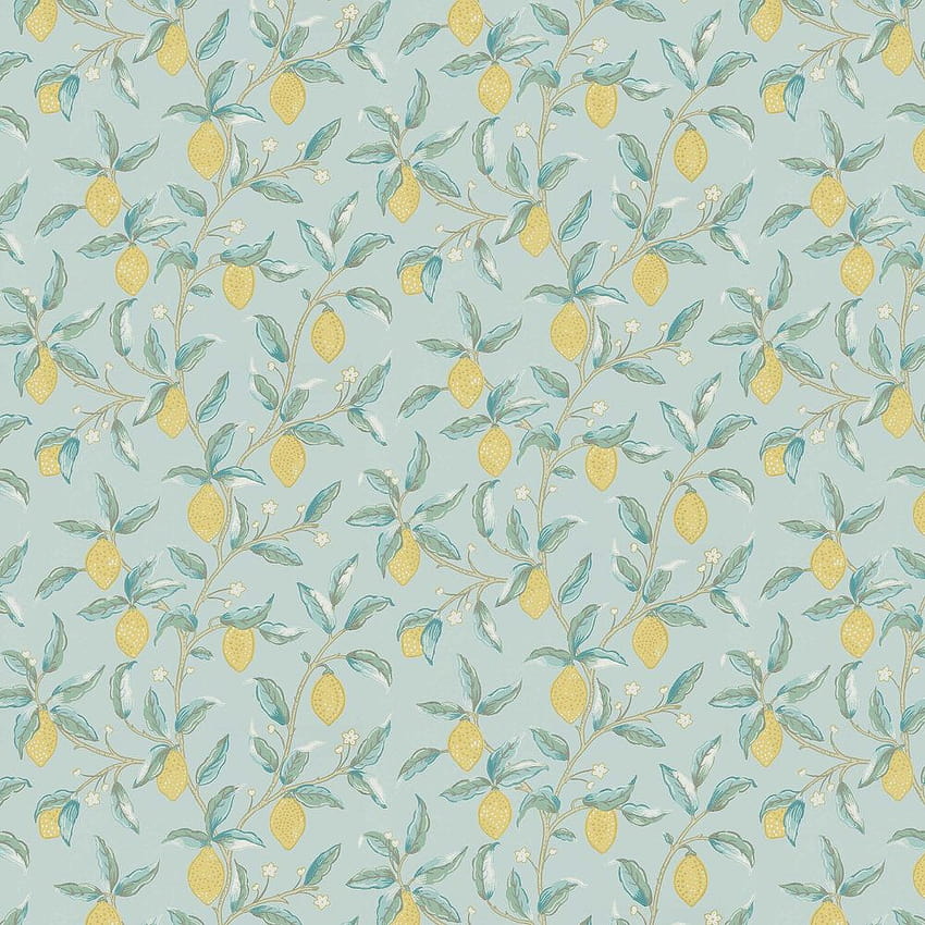 Pohon Lemon oleh Morris wallpaper ponsel HD