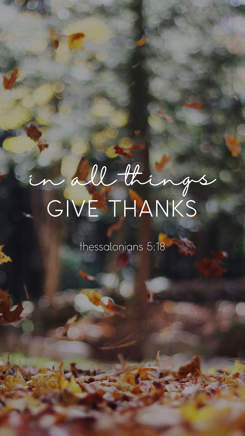 thessalonians 5:18 in all things give thanks fall phone Lynn Meadows graphy, autumn verse phone HD phone wallpaper