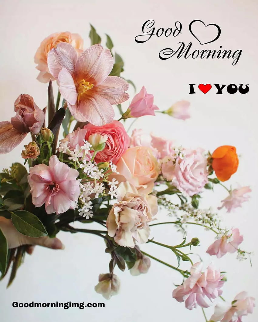 10 Good Morrning Flowers , morning flowers HD phone wallpaper | Pxfuel