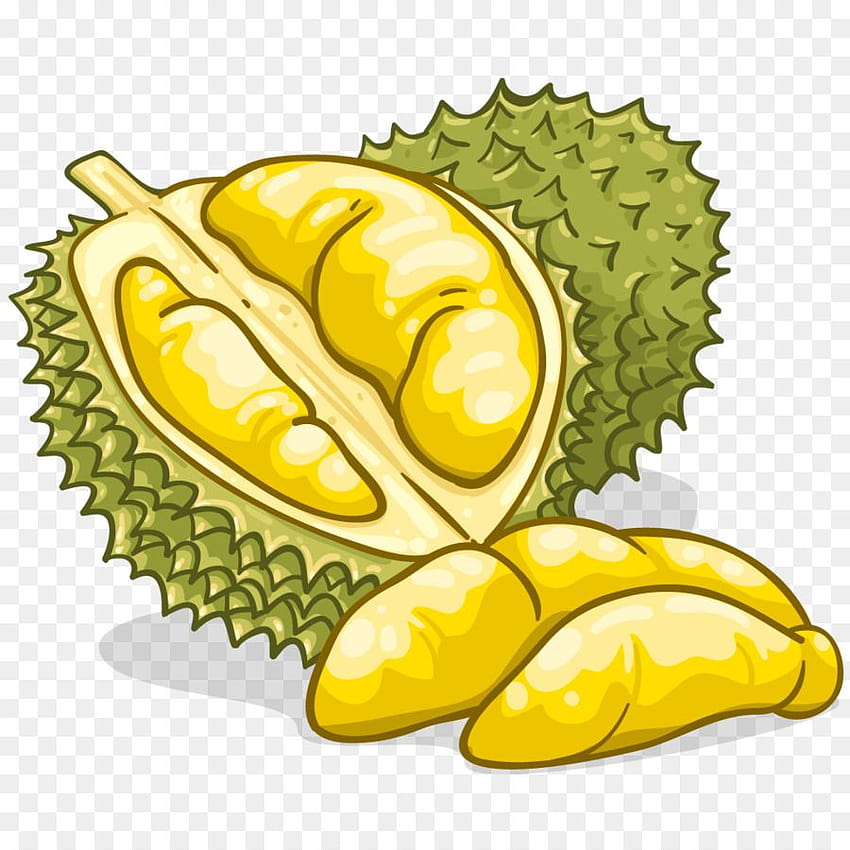 Durian Food Flavor Fruit Clip Art Tapeta na telefon HD