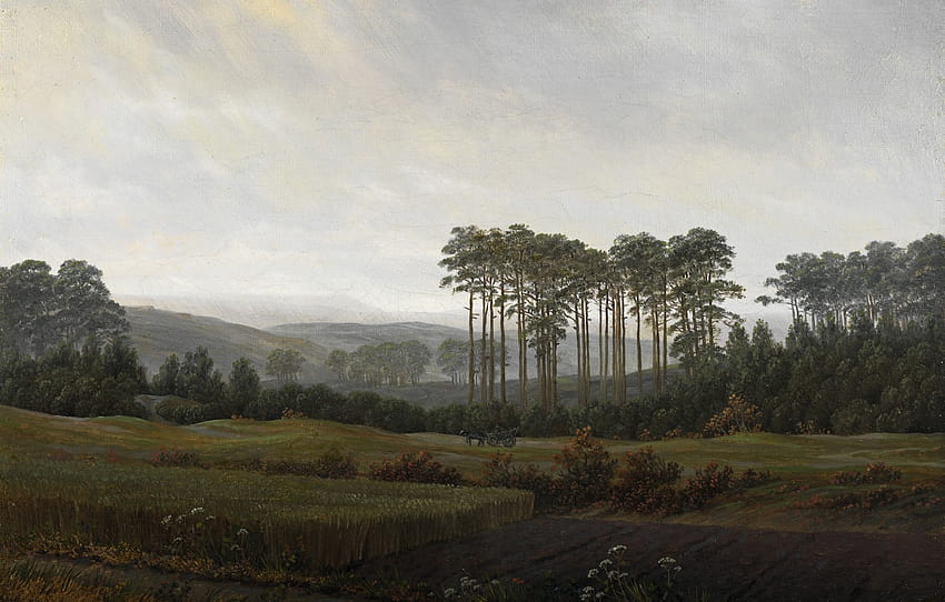 trees, landscape, nature, Caspar David Friedrich, Afternoon , section живопись HD wallpaper