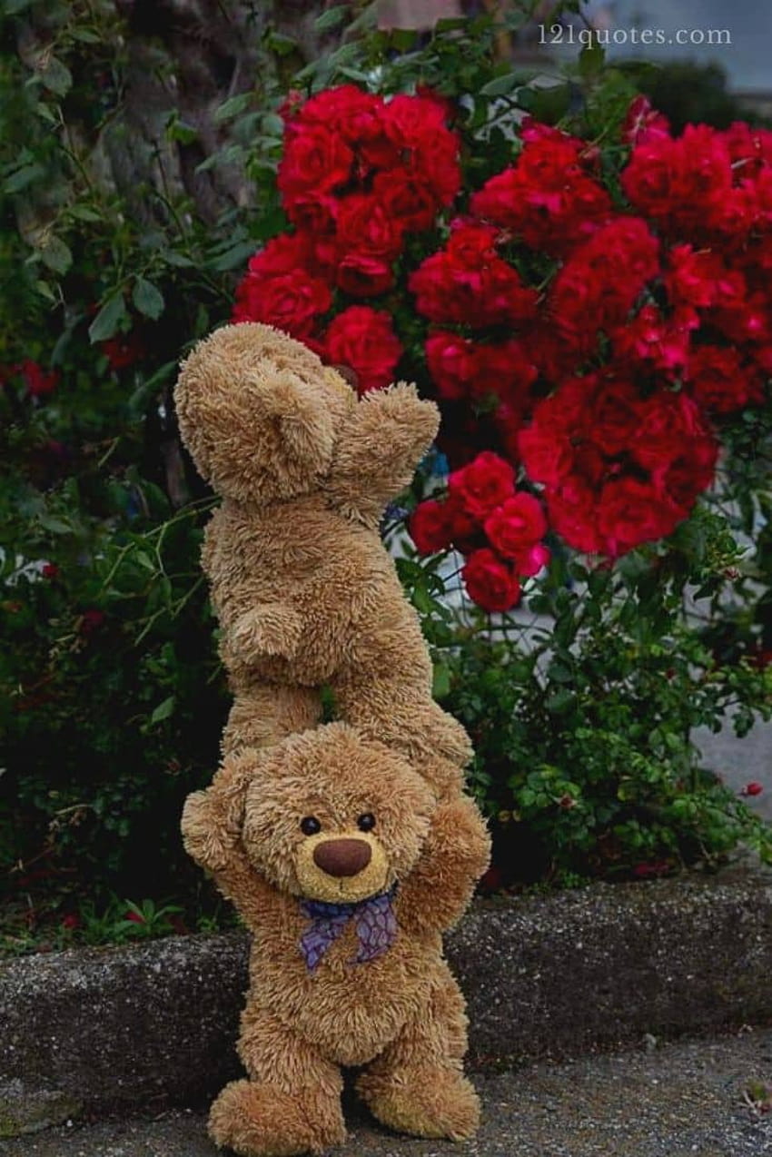 75 Best Teddy Bear ...goodmorning .online, beautiful dp HD phone ...