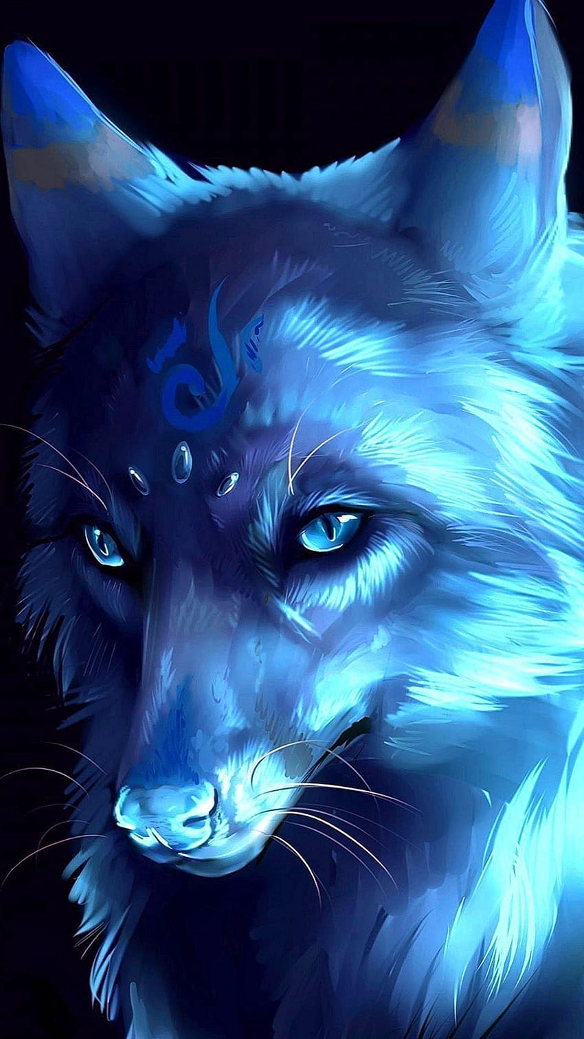 100 Cool Anime Wolf Wallpapers  Wallpaperscom