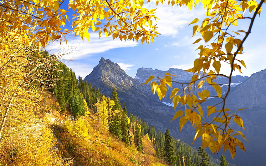 グレイシャー国立公園とモンタナの秋、山の木々、秋の黄金が混ざり合う 高画質の壁紙